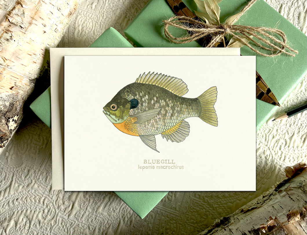 Watercolor Lake Fish Greeting Cards - 5 Pack, Variety of Note Cards