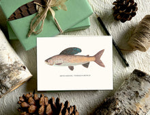 Trout Greeting Cards - 5 Pack, Variety of Notecards