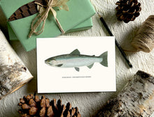 Trout Greeting Cards - 5 Pack, Variety of Notecards