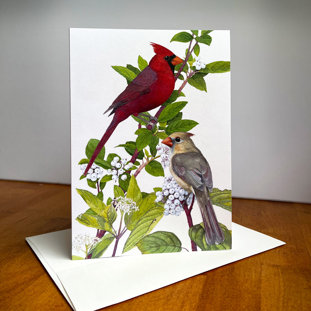 Watercolor Cardinal Greeting Cards