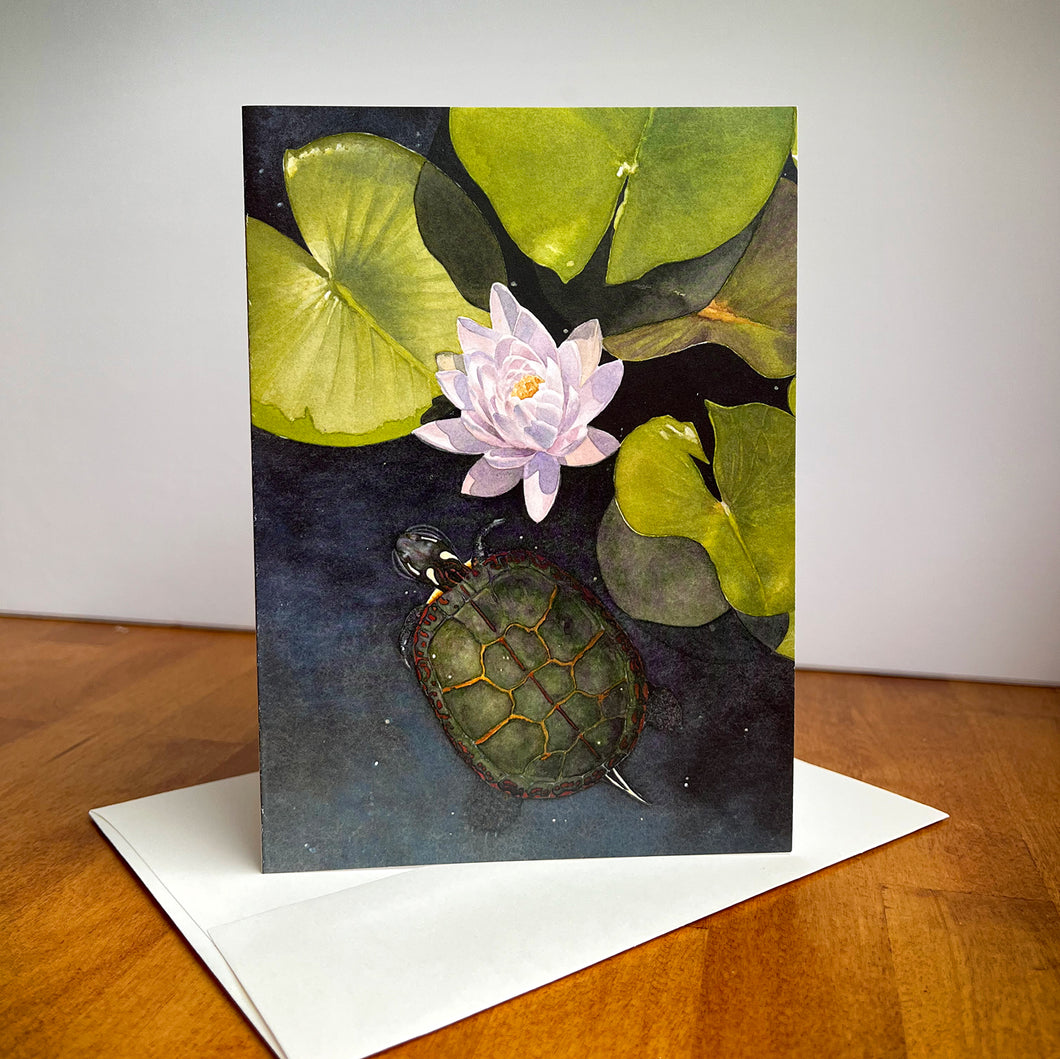 Painted Turtle, Water Lily Greeting Cards