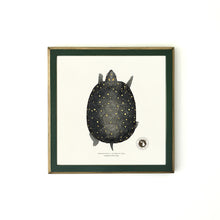 Michigan Spotted Turtle Print