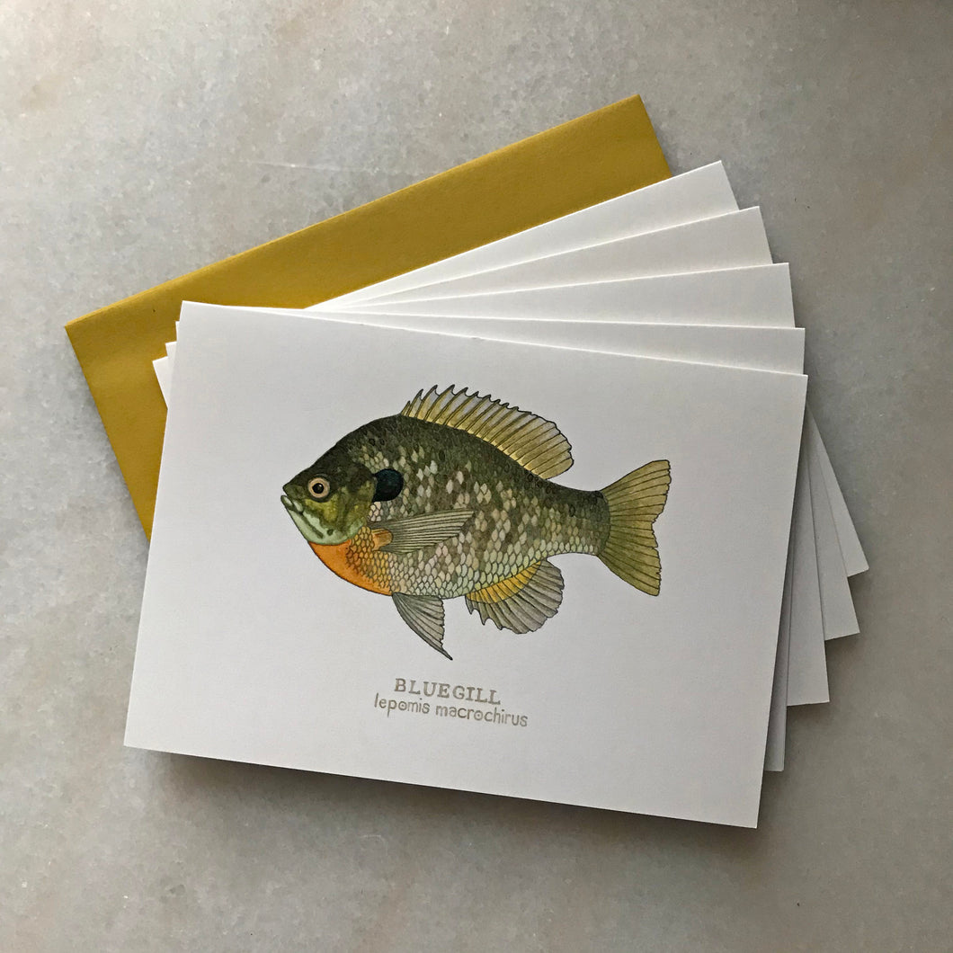 Watercolor Lake Fish Greeting Cards