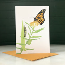 Butterfly Greeting Cards