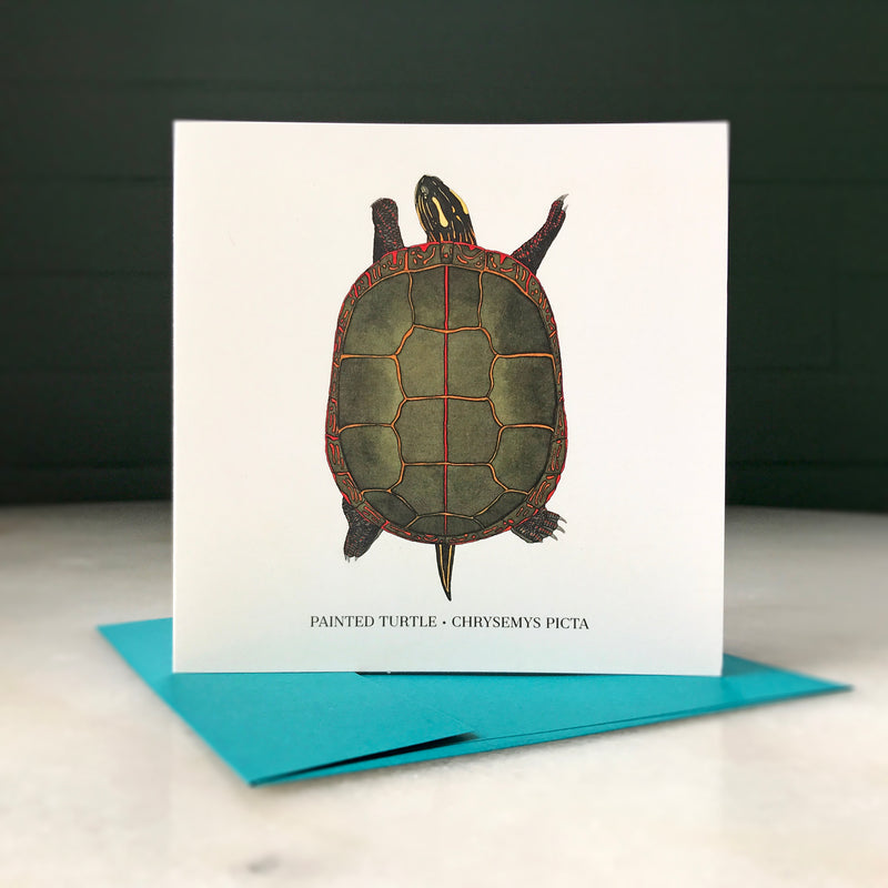 PaintedTurtleCard5x5-