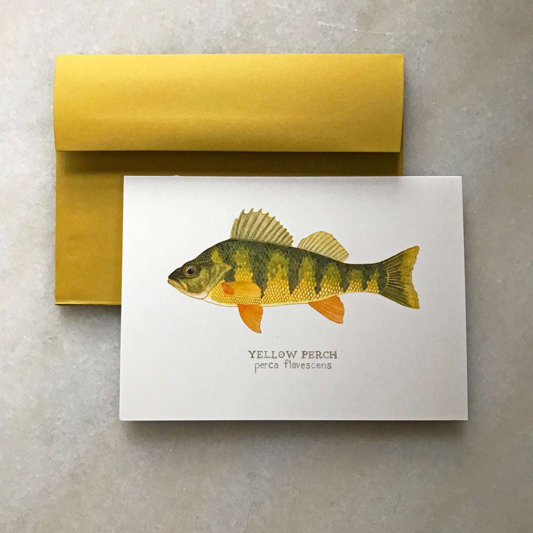 Lake Fish Greeting Cards
