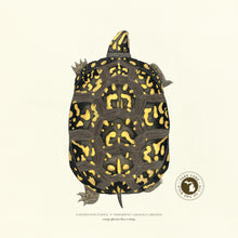 Michigan Eastern Box Turtle Print