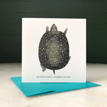 Turtle Greeting Cards